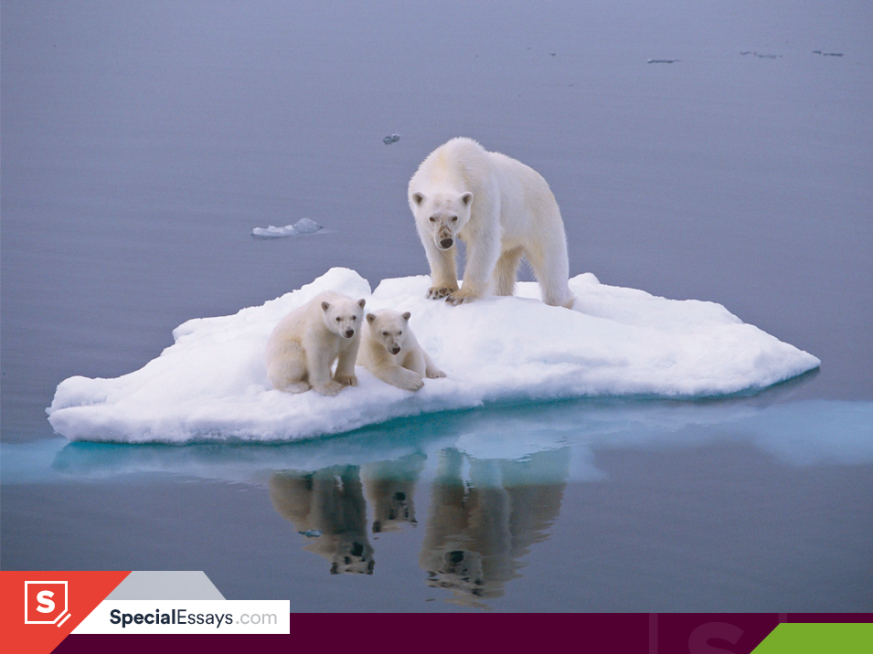 An Essay about Causes of Climate Changes